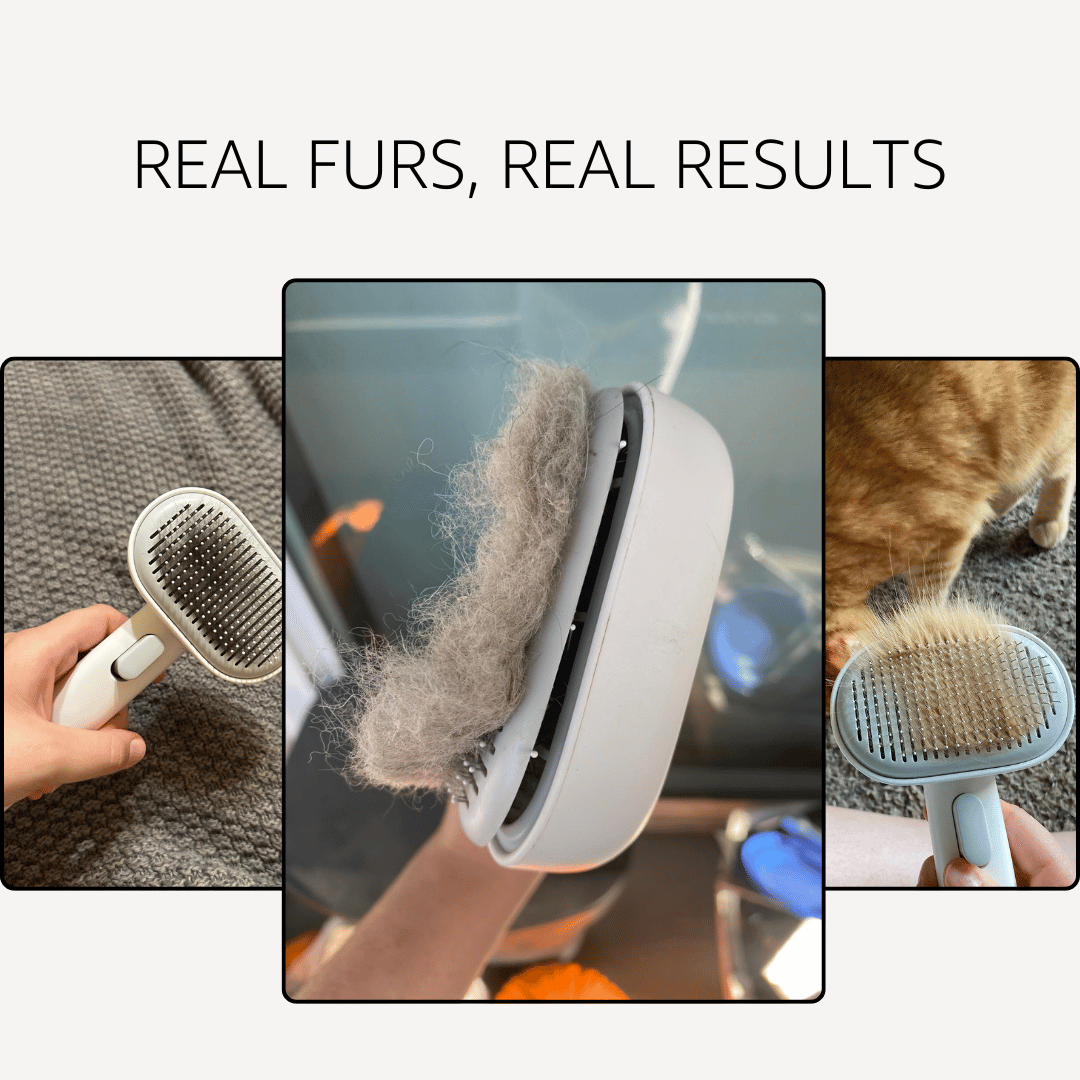 PurrMist Brush