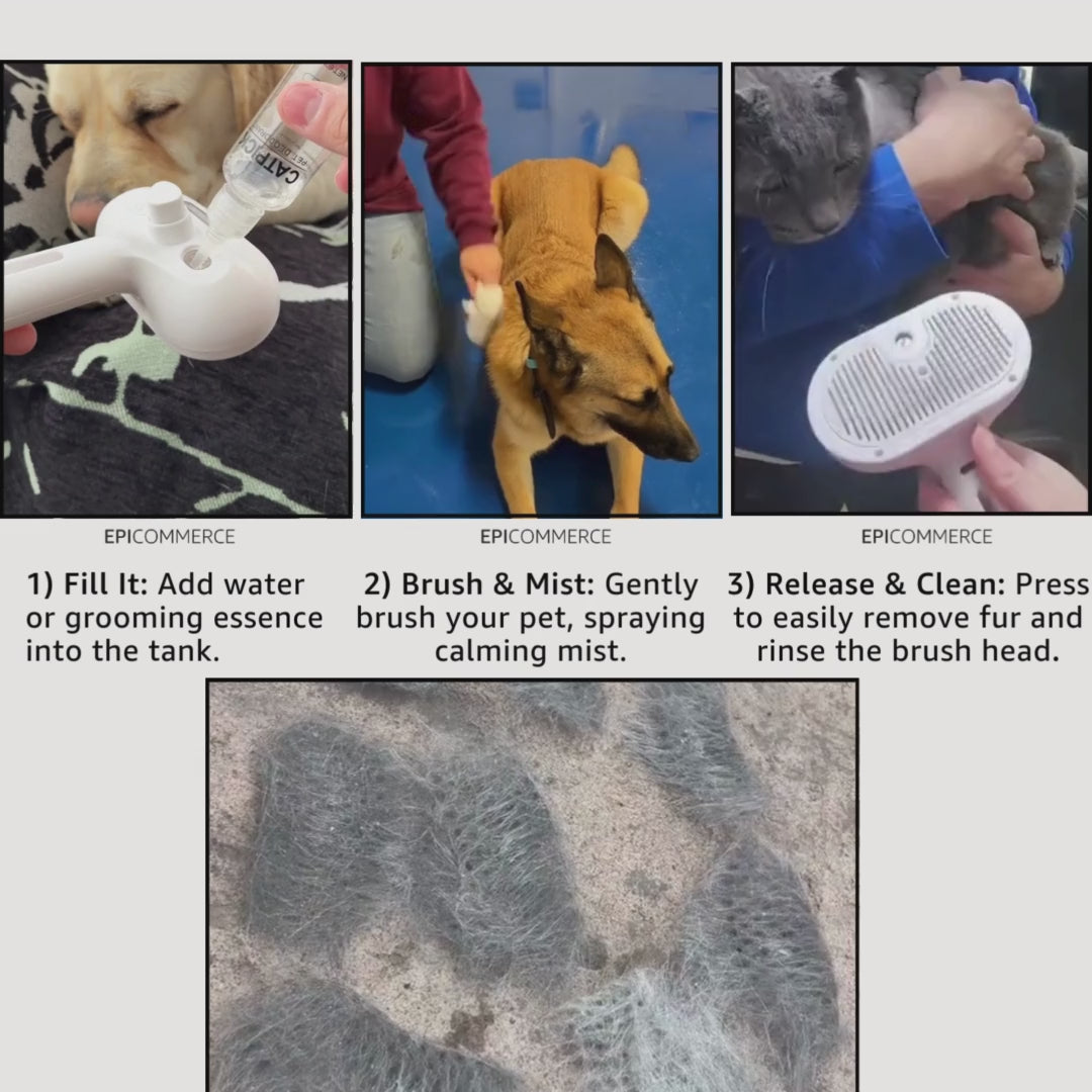 pet cat dog steam brush mister steam brushing for cats 