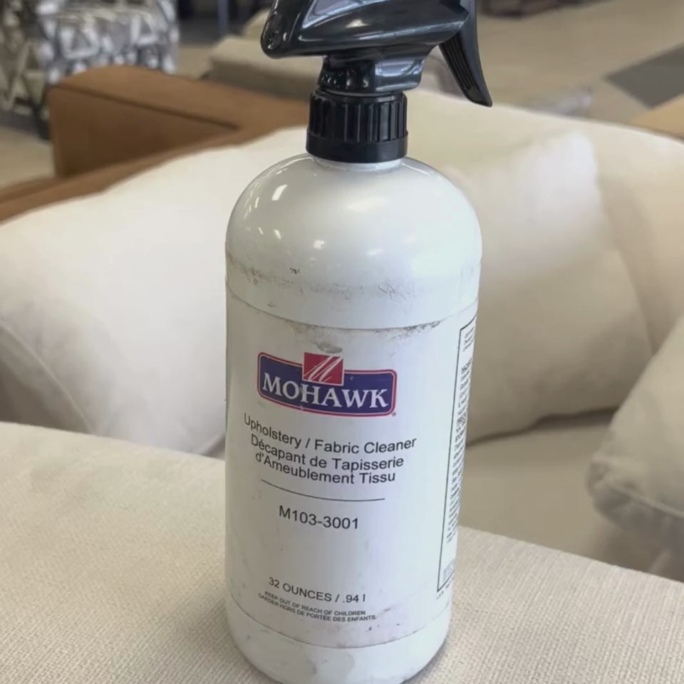 upholstery  cleaner demonstration results
